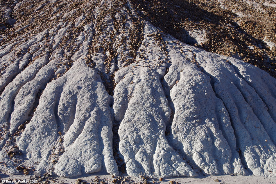 Eroded bentonite next to the Blue Mesa Trail, Petrified Forest National Park, Arizona