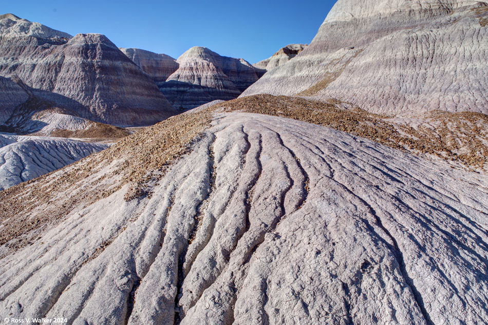 Blue Mesa Trail, side canyon, Petrified Forest, Arizona