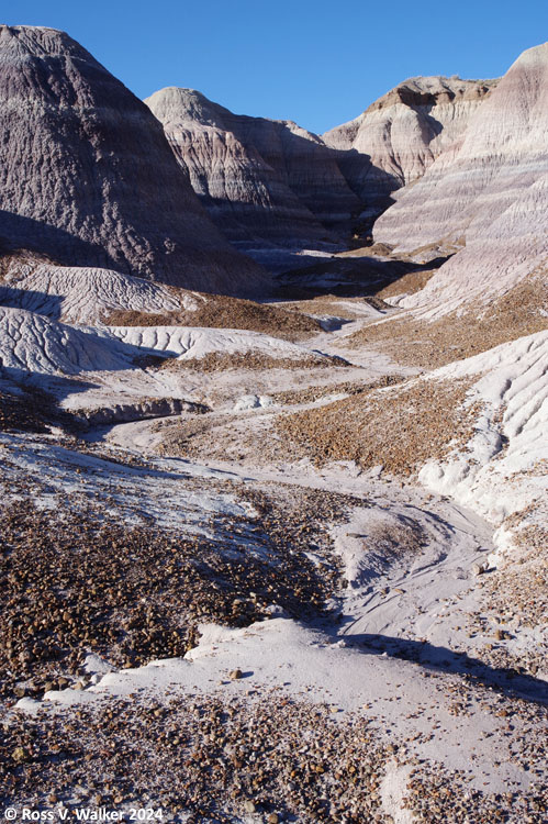 A side canyon branching off the Blue Mesa Trail, Petrified Forest, Arizona