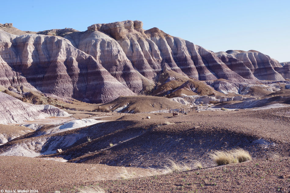 Colorful badlands seen from Blue Mesa Trail, Petrified Forest National Park