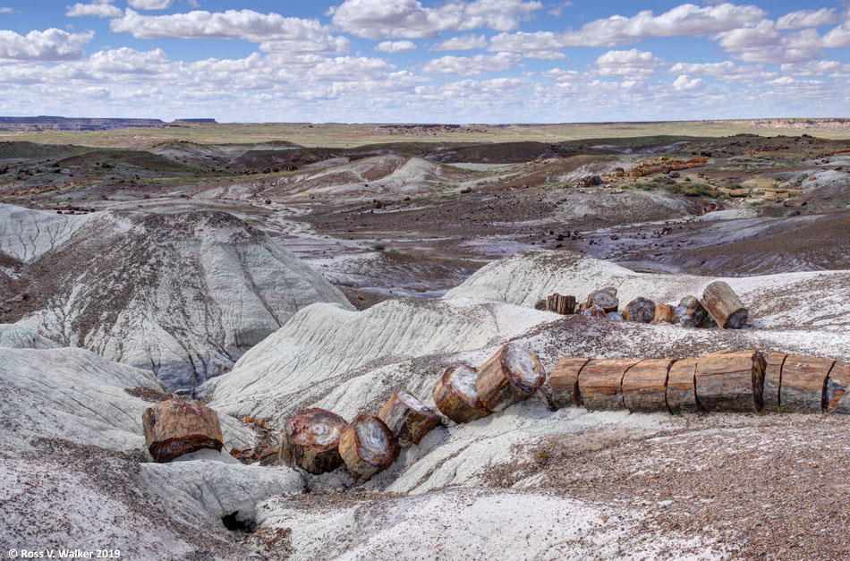 Ancient petrified logs broken into sections, Petrified Forest, Arizona.