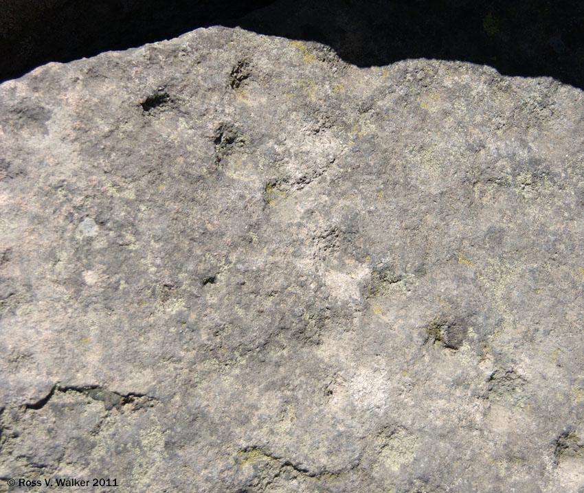 Kyburz Flat petroglyphs, California