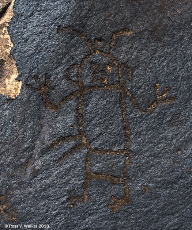 Petroglyph along Harpers Corner Road, Dinosaur National Monument, Utah