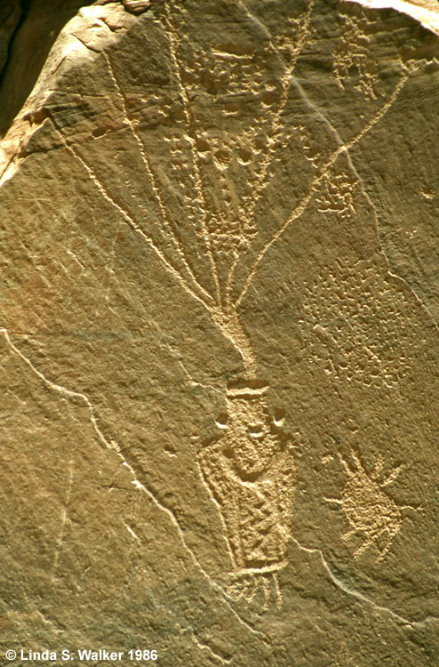 Petroglyph - Cub Creek, Dinosaur National Monument, Utah