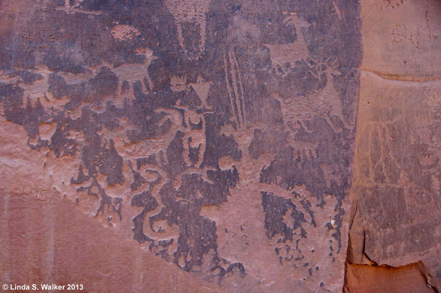 Moonflower Canyon petroglyphs near Moab, Utah