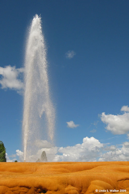 The captive geyser at Soda Springs, Idaho