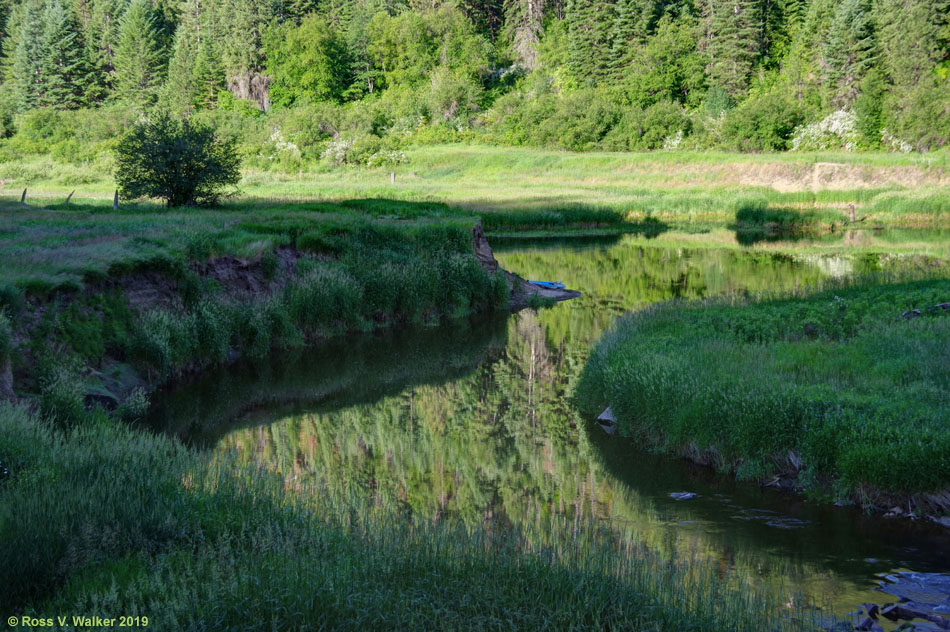 Morning reflections in the Little Salmon River near New Meadows, Idaho