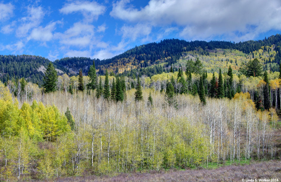 Emigration Canyon, Idaho during the transition from autumn to winter