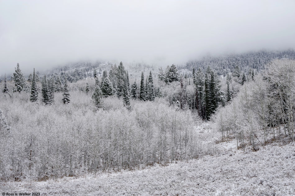 An autumn snowstorm covers the hills in Emigration Canyon, Idaho