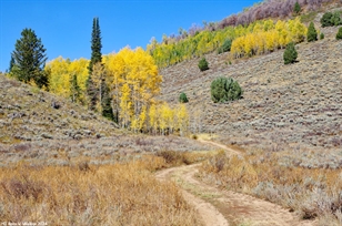 Williams Canyon dirt road