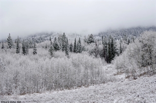 Emigration Canyon snowstorm