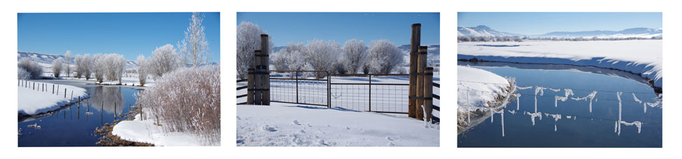 Sharp Shooters Camera Club, Montpelier, Idaho Triptych Assignment Photo