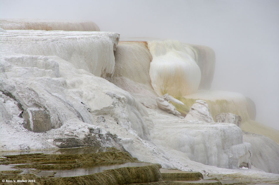 Travertine in steam at Mammoth Hot Springs, Yellowstone National Park, Wyoming