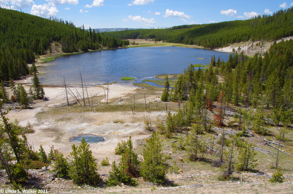 Nymph Lake, Yellowstone National Park, Wyoming