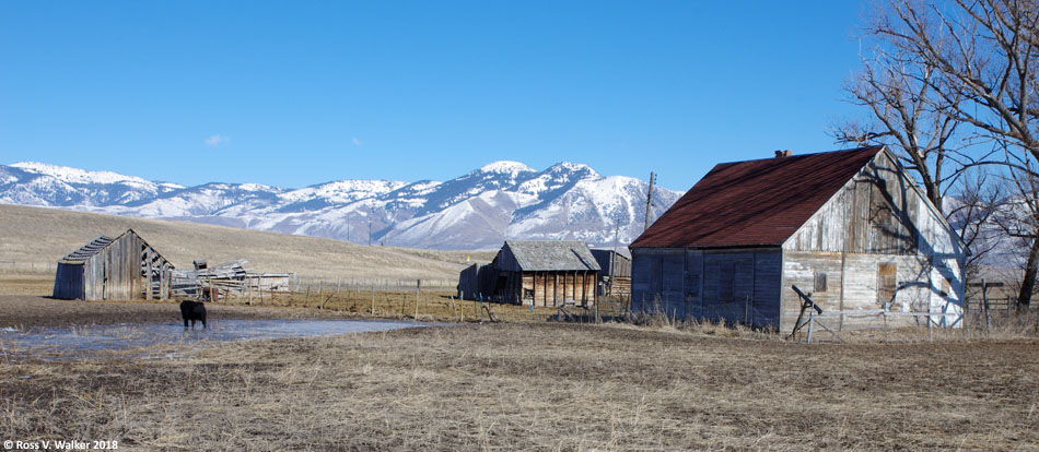 All of these old buildings in Bern, Idaho have been removed.