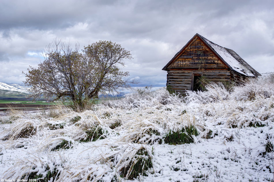 A log cabin in Bennington, Idaho after a spring snowstorm