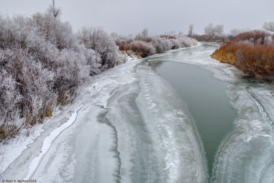 Frost coats the willows along the riverbank at Dingle Idaho