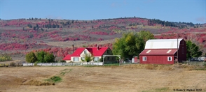 Red farm buildings, Liberty, Idaho