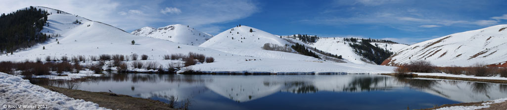 Rearing Pond, Montpelier Canyon, Idaho