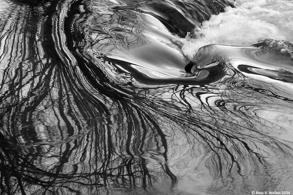 Trees reflected in a Portneuf River cascade at Lava Hot Springs, Idaho