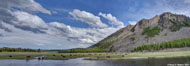 This is a two shot panorama of a bison herd by the Madison River in Yellowstone National Park, Wyoming.