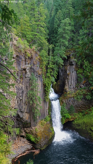 Toketee Falls