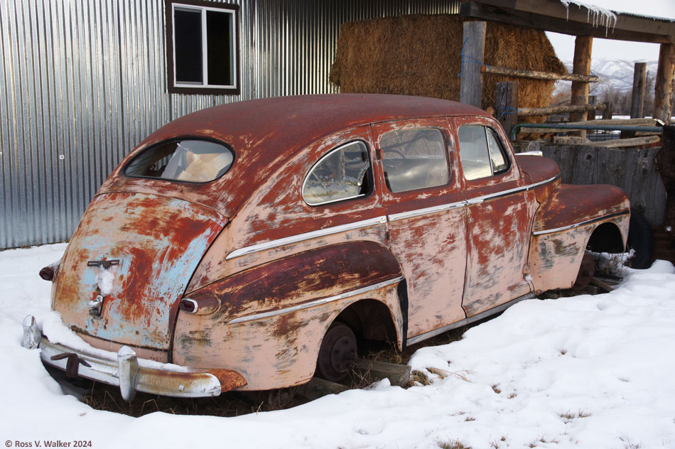 Possibly a 1946 Ford Deluxe in a barnyard in Dingle, Idaho.