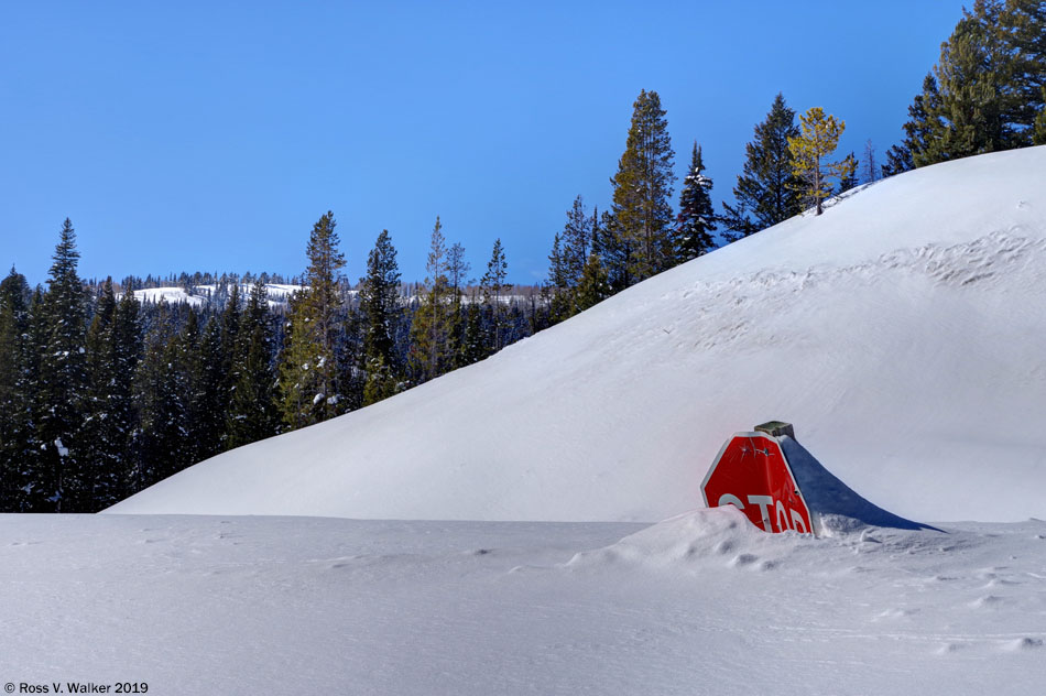 A stop sign buried by snow plows in Emigration Canyon, Idaho