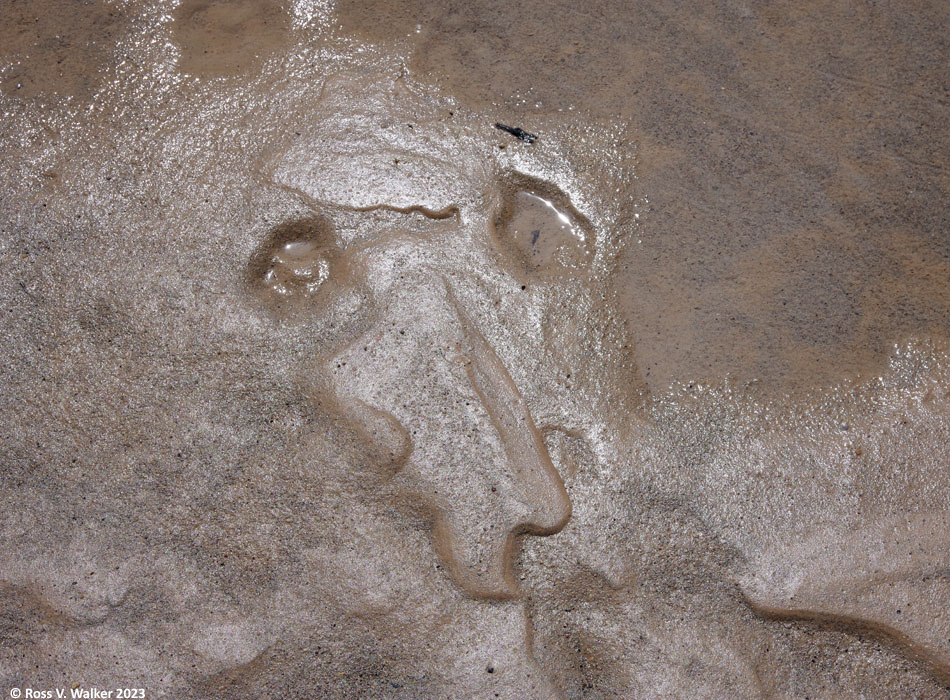 Sand man, or maybe a mud bear? Bear Lake State Park, Idaho