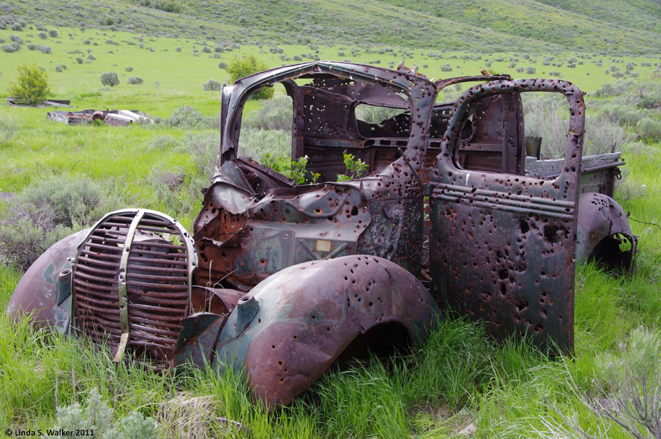 Bullet holes in a Ford pickup near Soda Springs, Idaho