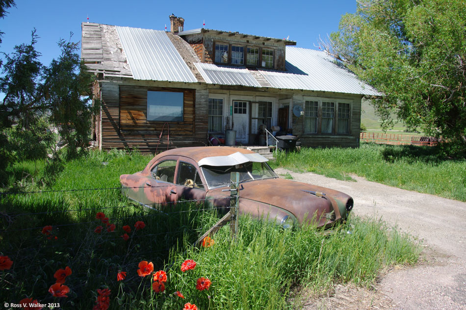 Poppies, old Kaiser, and abandoned house, Geneva, Idaho