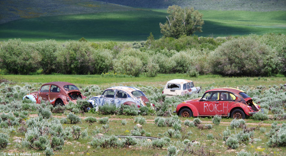 Volkswagen graveyard, Nounan, Idaho