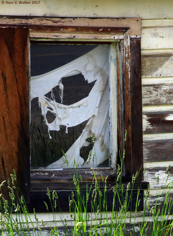 A ghost in a window, Sumpter, Oregon