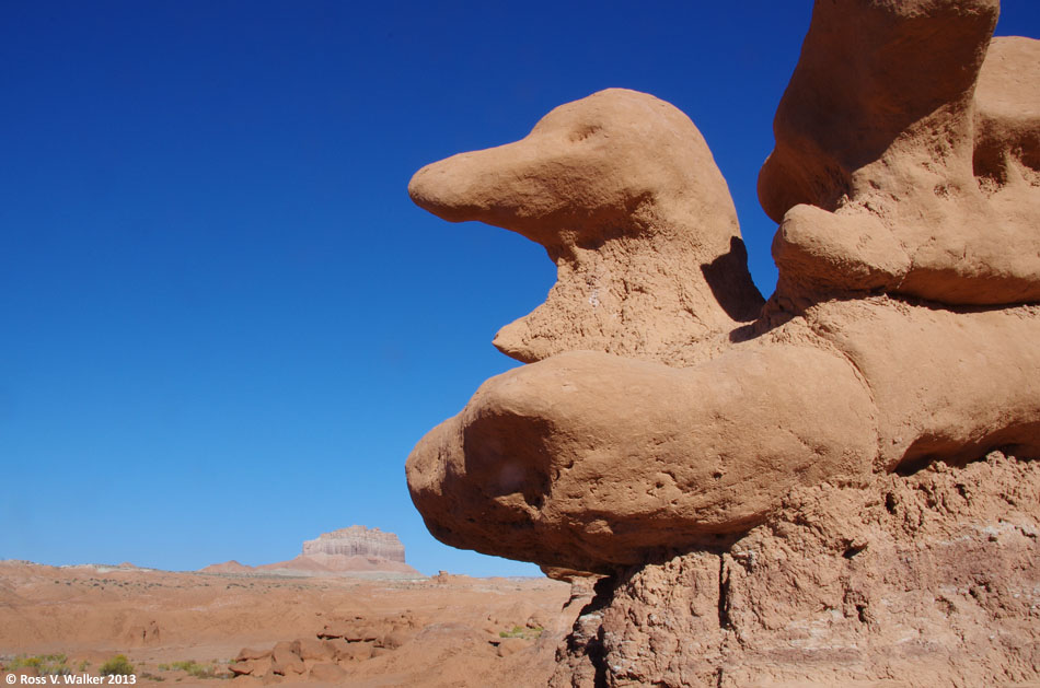 Stone duck, Goblin Valley, Utah hoodoo