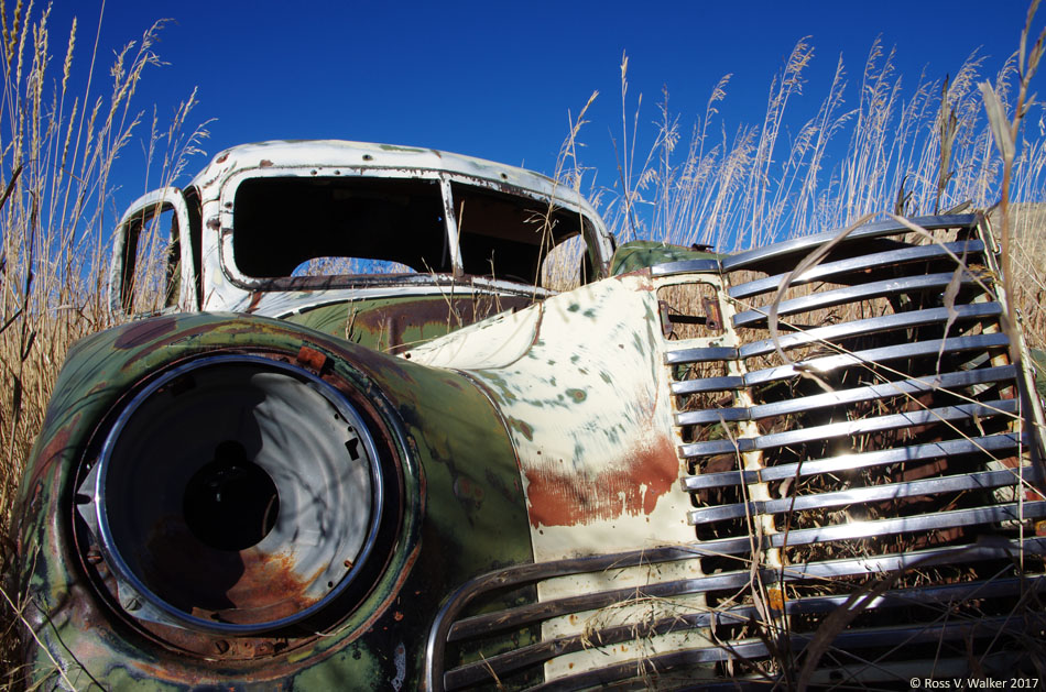 A 1947 - 1949 International KB-5 is hidden in tall grass in Montpelier, Idaho