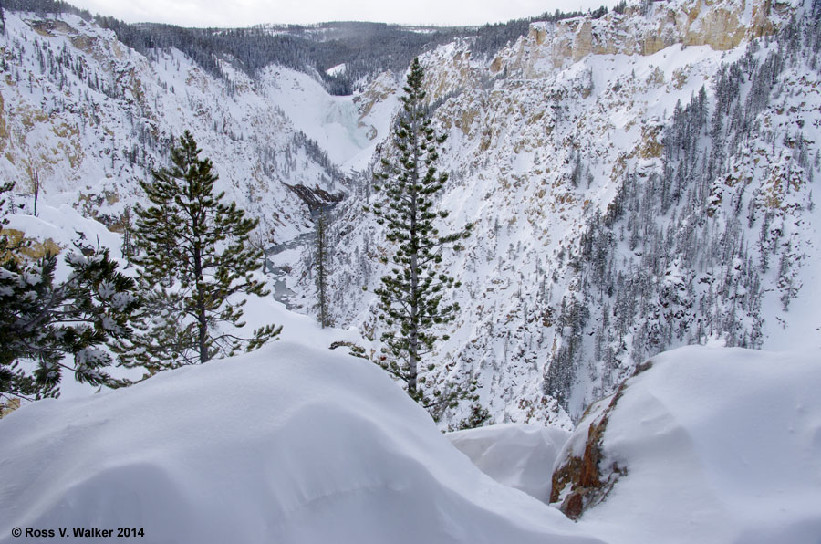 Grand Canyon of the Yellowstone and Lower Falls, Yellowstone National Park, Wyoming