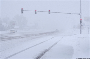 downtown blizzard