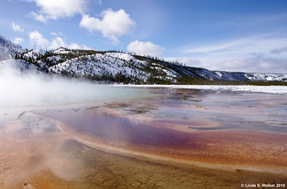 Grand Prismatic Spring