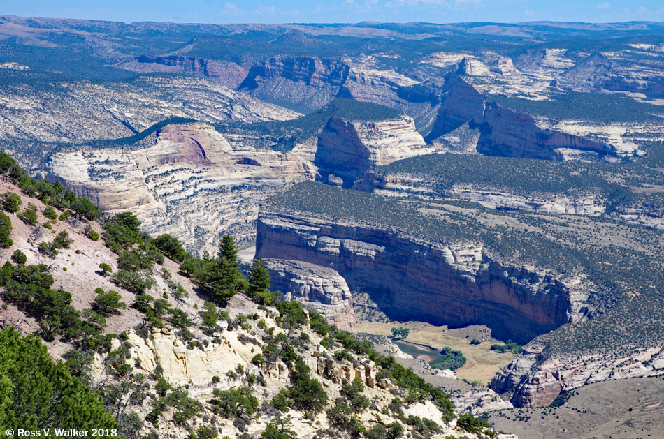 dinosaur green and yampa river